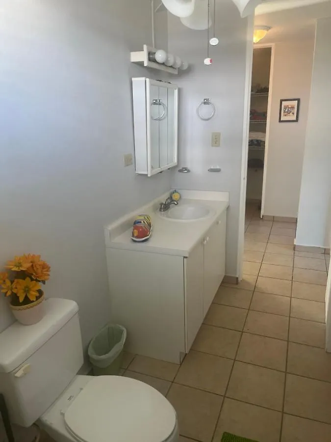 Relaxing Hillside Village Apartment Rio Grande Puerto Rico